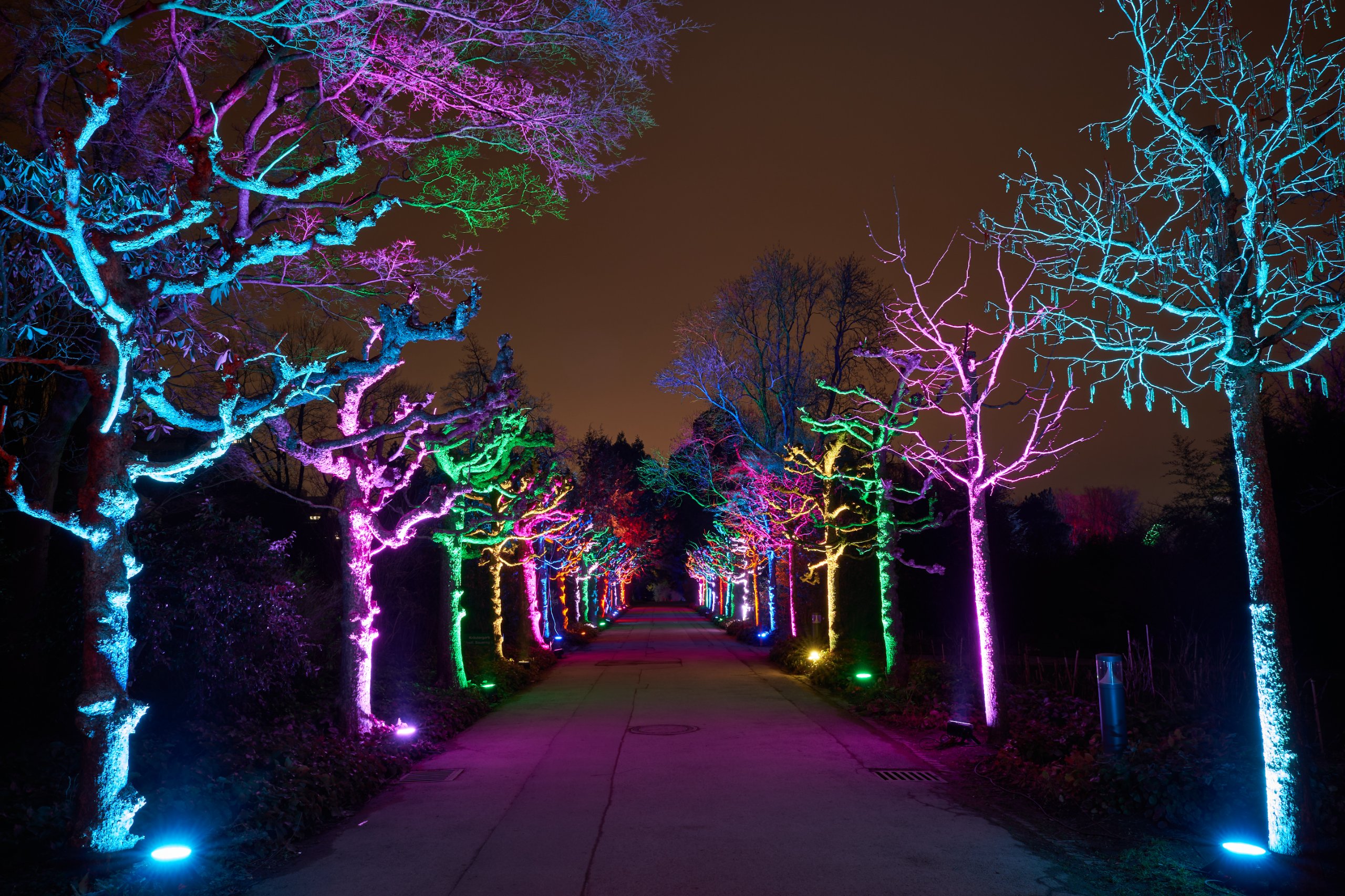 2023 01 24 Parkleuchten 0539